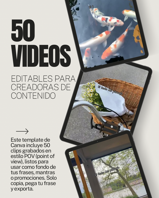 Template de Canva con 50 videos reel/tiktok listos para editar el texto y publicar